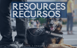 Resources graphic