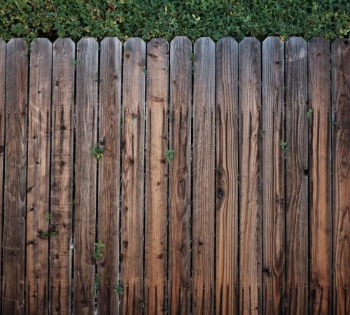 fence