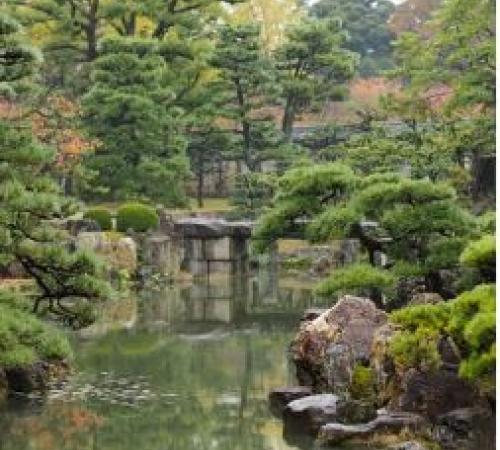 Japanese garden