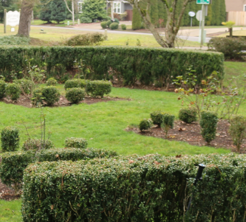 Alvah Cowan Park