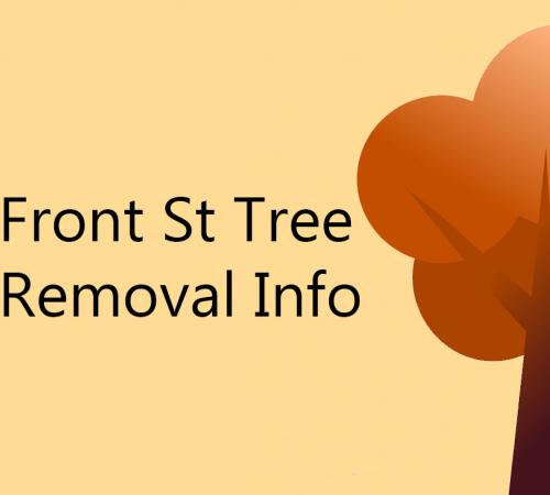 Front St Tree Removal Image