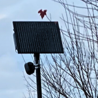 Woodburn Flock Camera