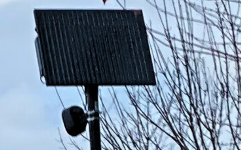 Woodburn Flock Camera