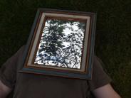 Mirror reflection
