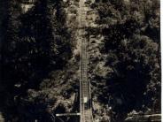 Log slide - Example of how logs were transported off the mountain to the trucks or the river when the hills were steep