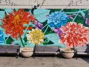 Dahlia Mural
