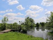pond