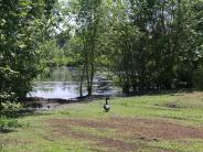 goose