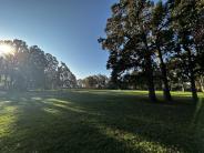 Burlingham Field
