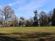 Burlingham Field