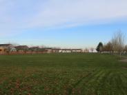 Field
