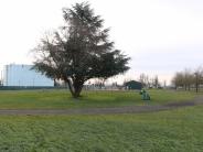 Dog Park