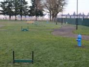 Small Dog Park Area