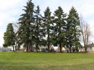 North Front Street Field