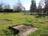 Senior Estates Horseshoes