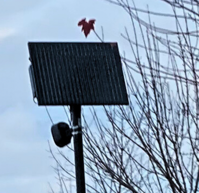 Woodburn Flock Camera