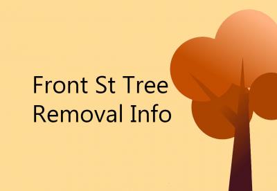 Front St Tree Removal Image