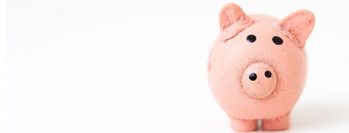 Piggy Bank Banner
