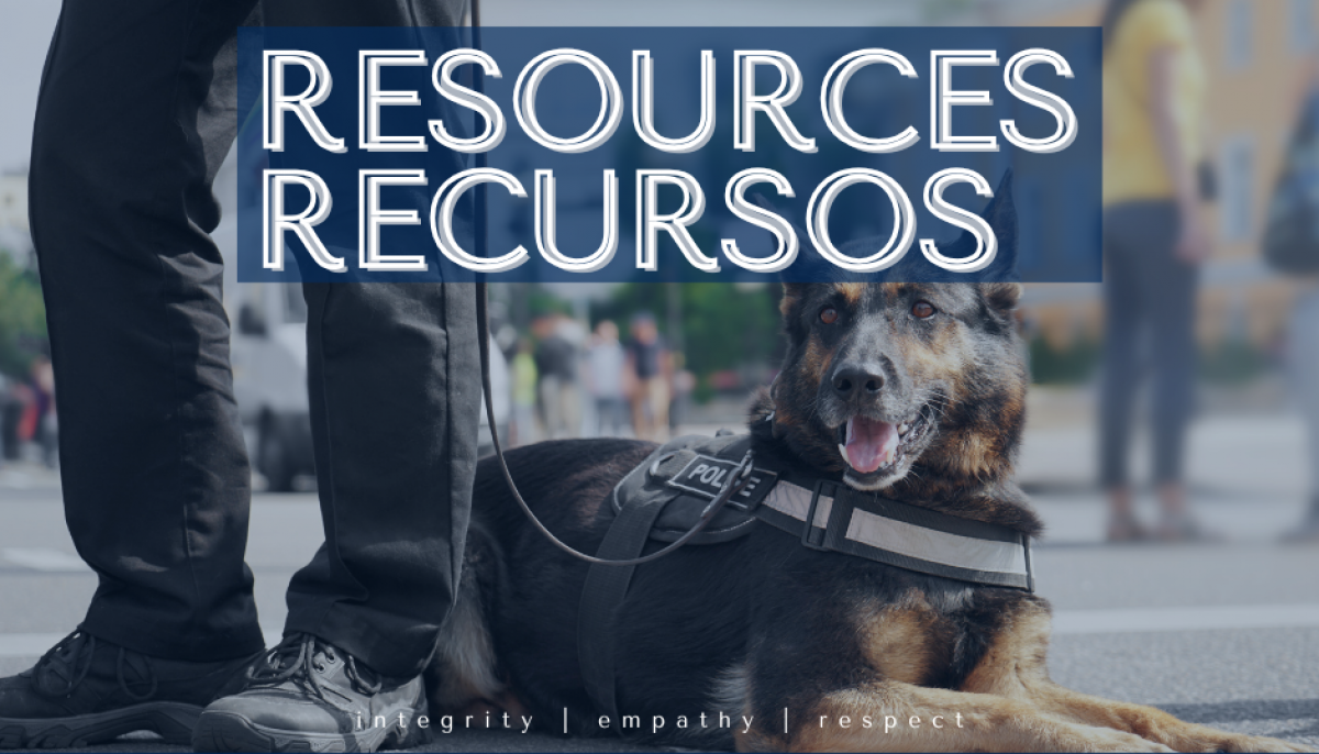 Resources graphic