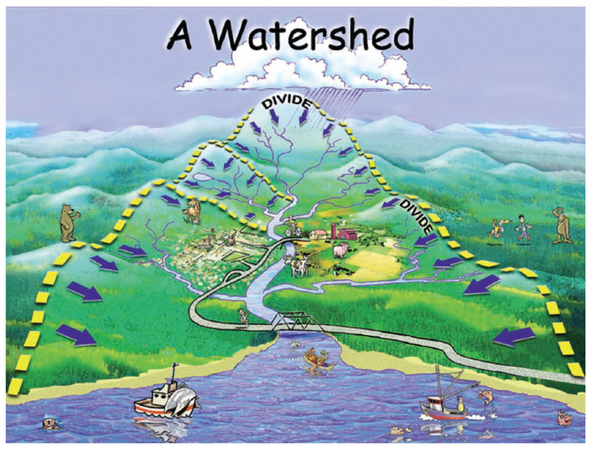 Picture of watershed