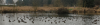Hermanson Pond